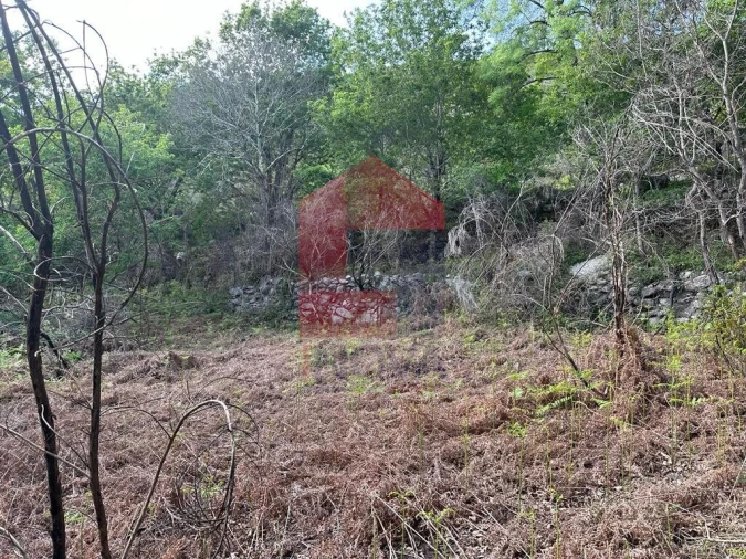 Terreno para Venda em Valdreu Foto 7