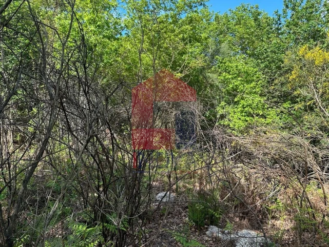 Terreno para Venda em Valdreu Foto 24