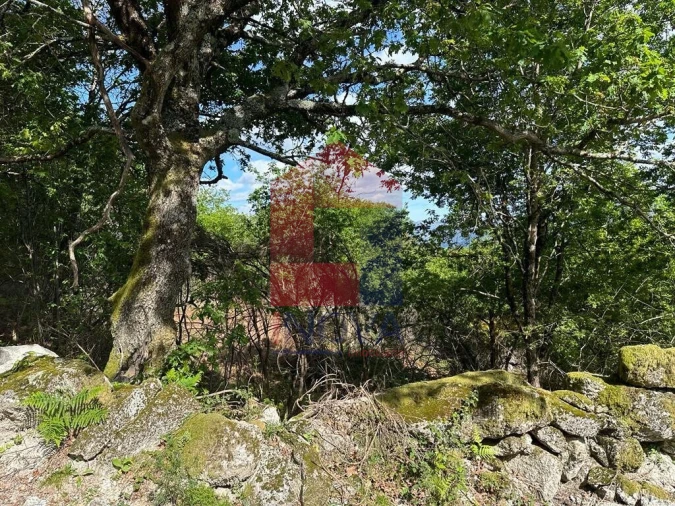 Terreno para Venda em Valdreu Foto 6