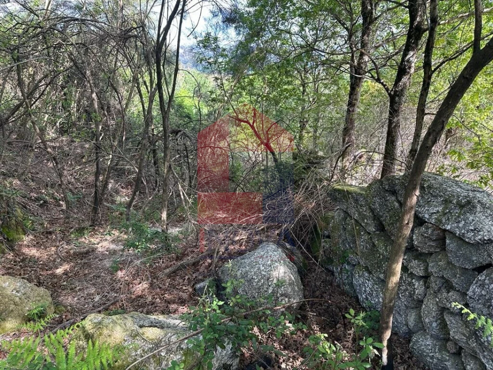 Terreno para Venda em Valdreu Foto 5