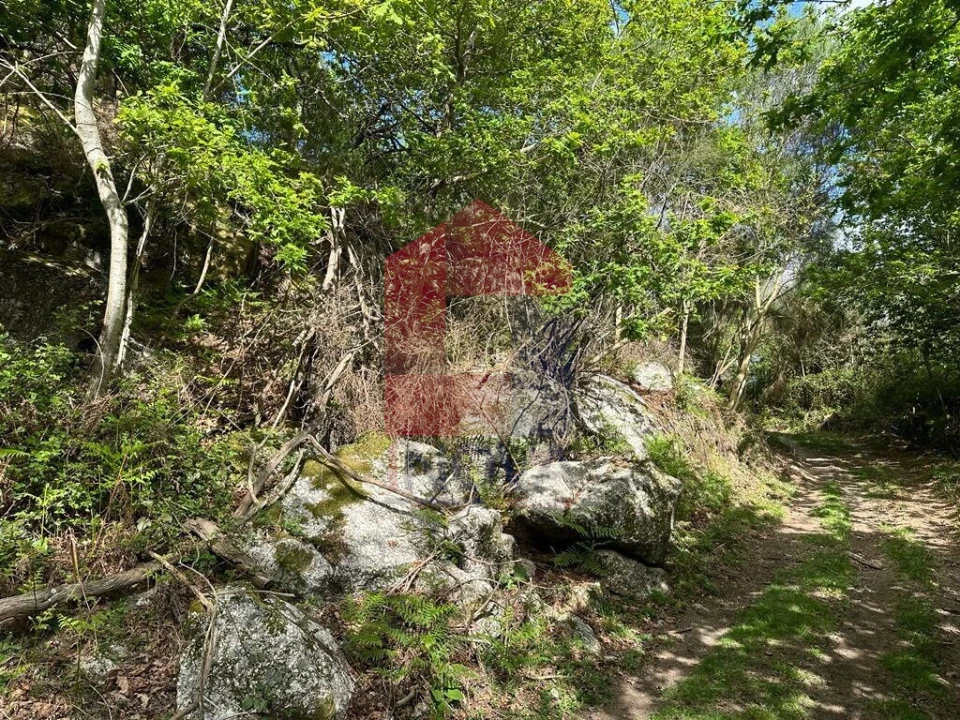 Terreno para Venda em Valdreu Foto 27