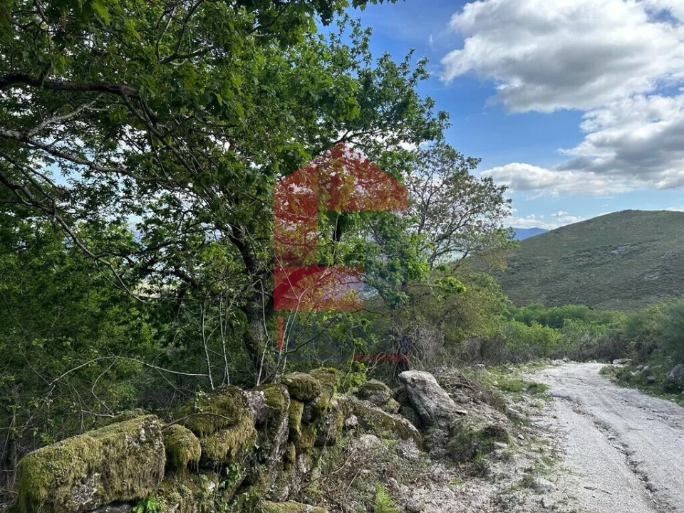 Terreno para Venda em Valdreu Foto 17
