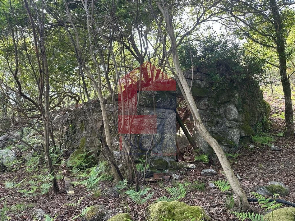Terreno para Venda em Valdreu Foto 1