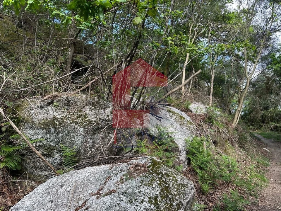 Terreno para Venda em Valdreu Foto 21