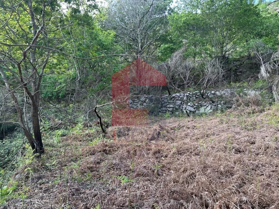 Terreno para Venda em Valdreu Foto 9