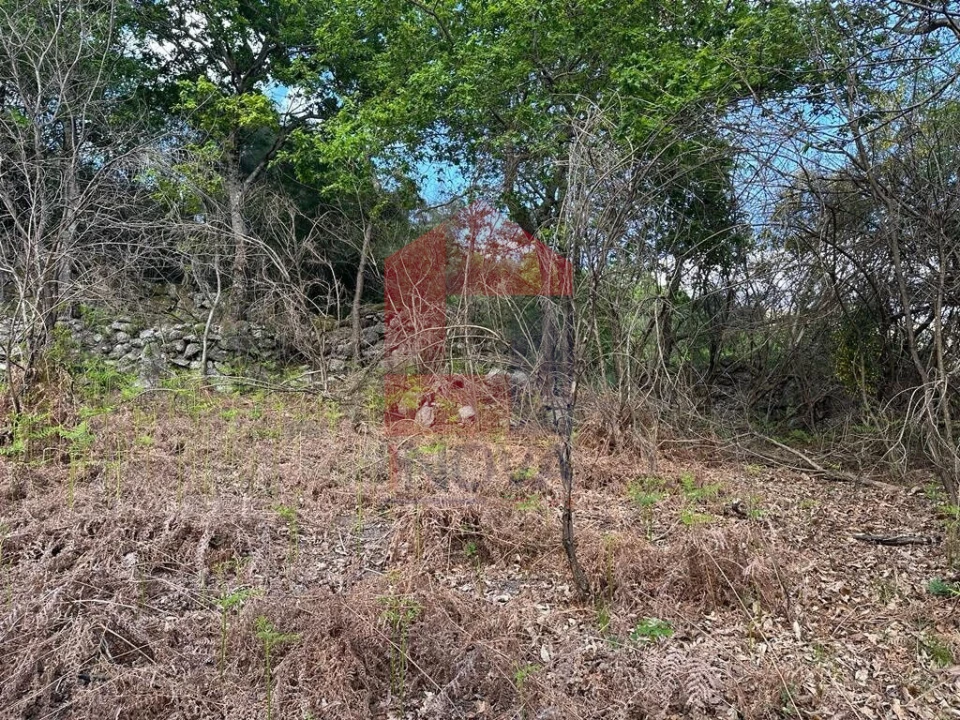 Terreno para Venda em Valdreu Foto 10