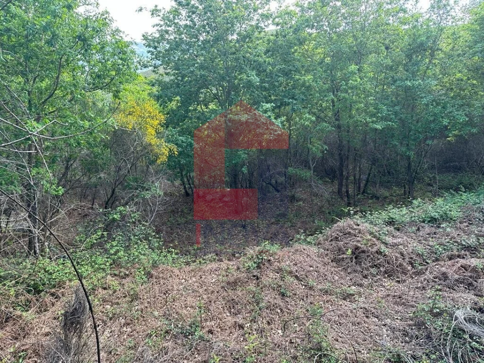 Terreno para Venda em Valdreu Foto 11