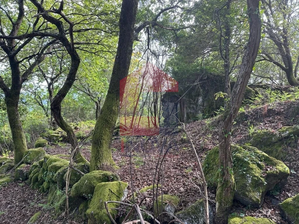 Terreno para Venda em Valdreu Foto 4