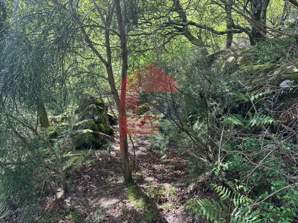 Terreno para Venda em Valdreu Foto 30