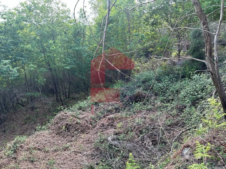 Terreno para Venda em Valdreu Foto 12