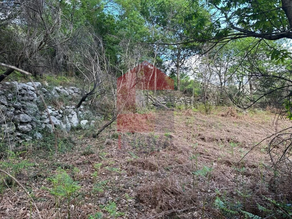 Terreno para Venda em Valdreu Foto 13