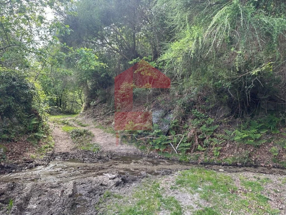 Terreno para Venda em Valdreu Foto 22