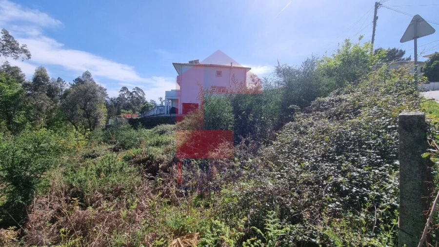 Terreno para Venda em Vila Verde e Barbudo Foto 4