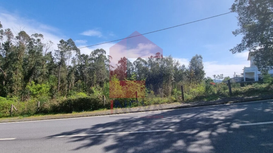 Terreno para Venda em Vila Verde e Barbudo Foto 7