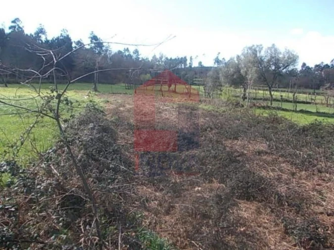 Terreno para Venda em Coucieiro Foto 2