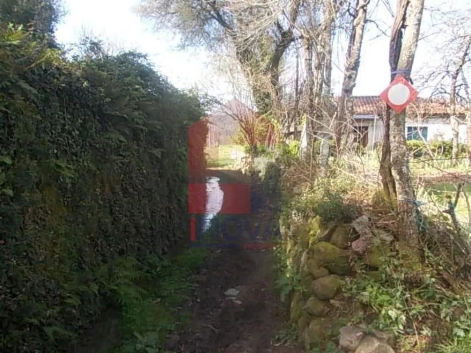 Terreno para Venda em Coucieiro Foto 3