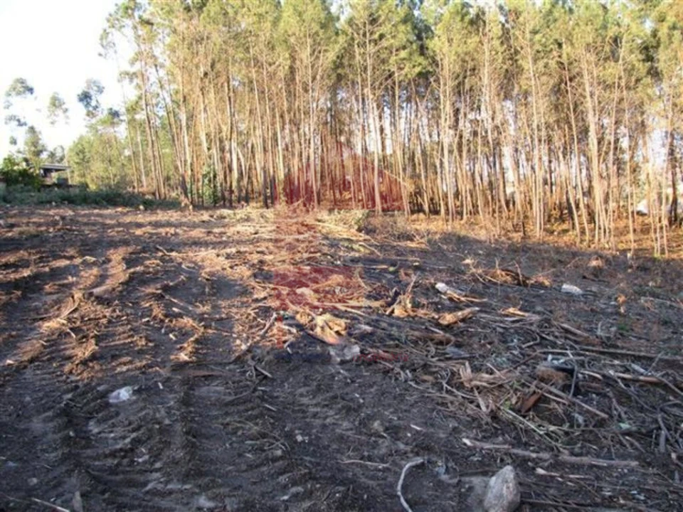 Terreno para Venda em Lanhas Foto 5