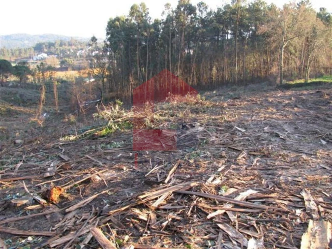 Terreno para Venda em Lanhas Foto 10