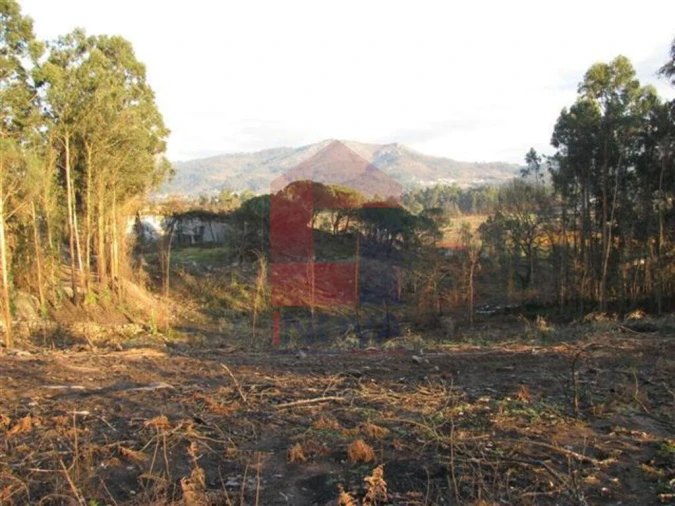 Terreno para Venda em Lanhas Foto 8