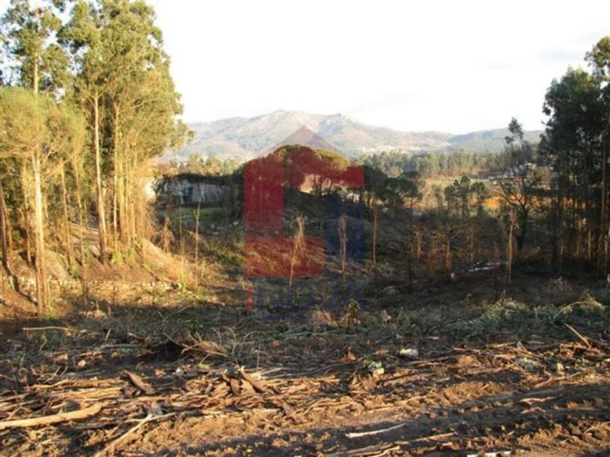Terreno para Venda em Lanhas Foto 2
