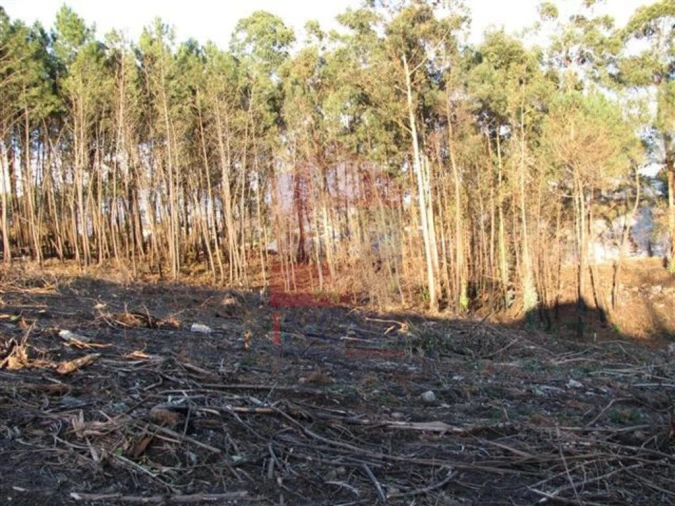 Terreno para Venda em Lanhas Foto 6