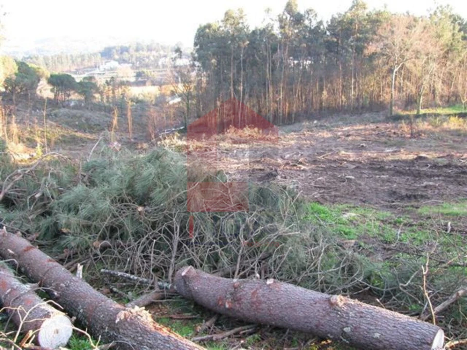 Terreno para Venda em Lanhas Foto 12