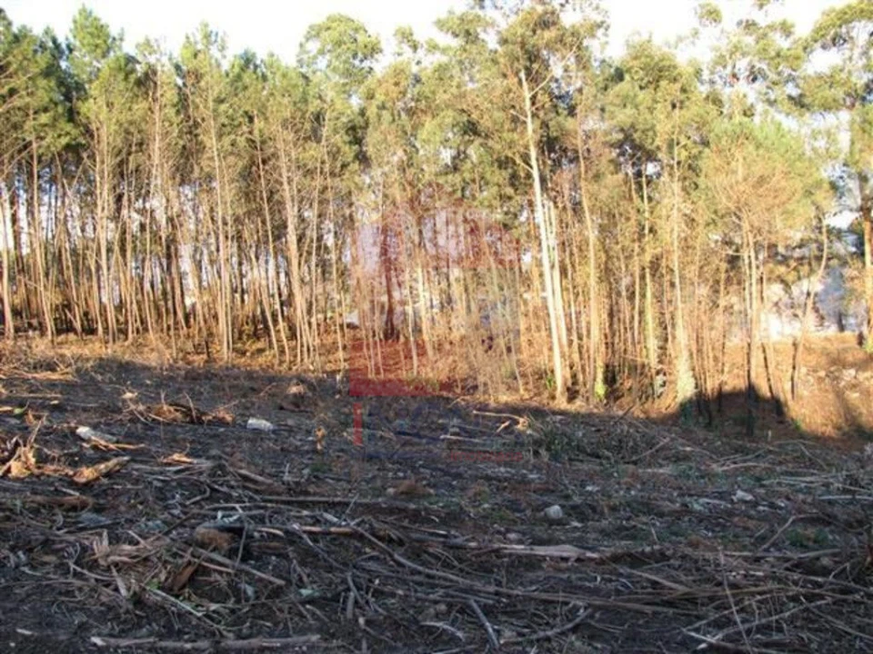 Terreno para Venda em Lanhas Foto 6