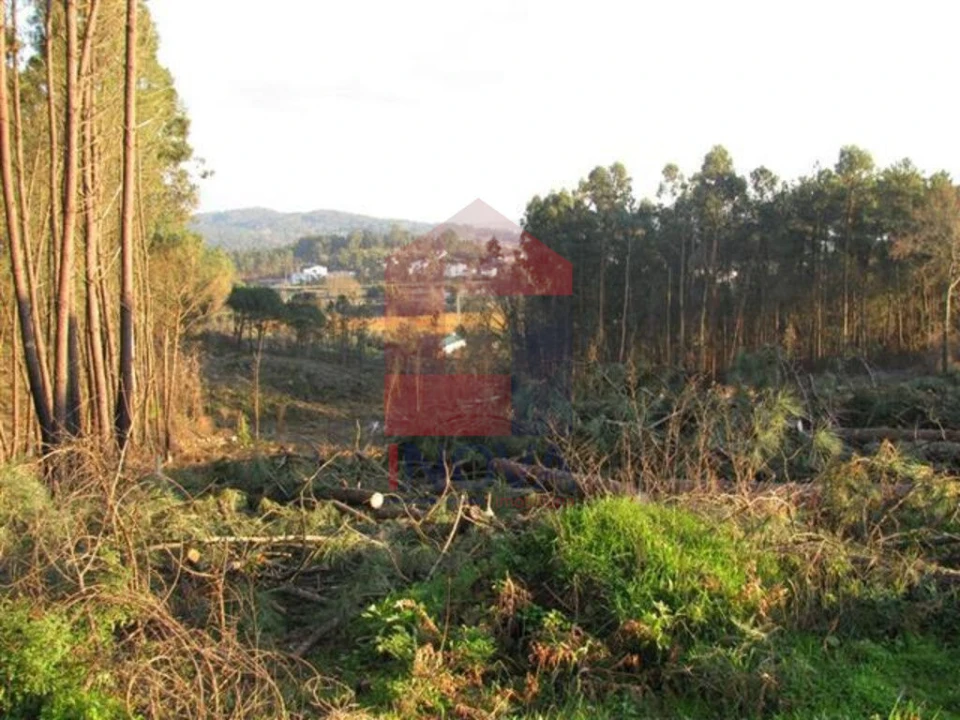 Terreno para Venda em Lanhas Foto 11