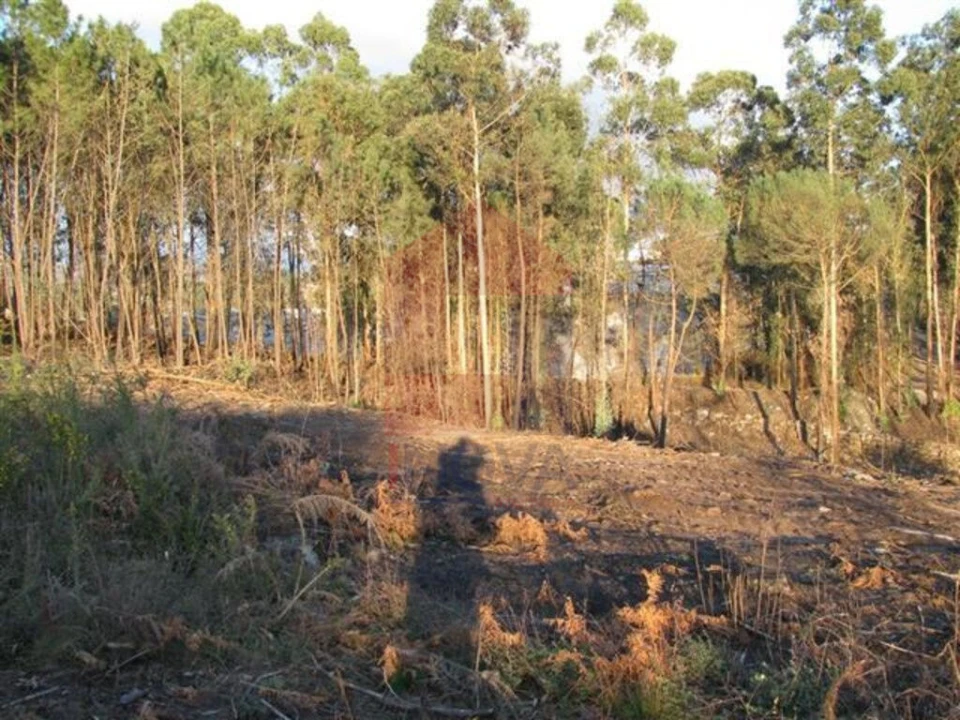 Terreno para Venda em Lanhas Foto 9