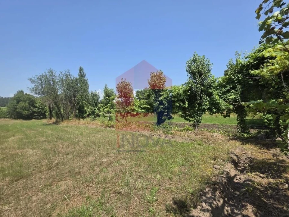 Terreno para Venda em Gême Foto 10