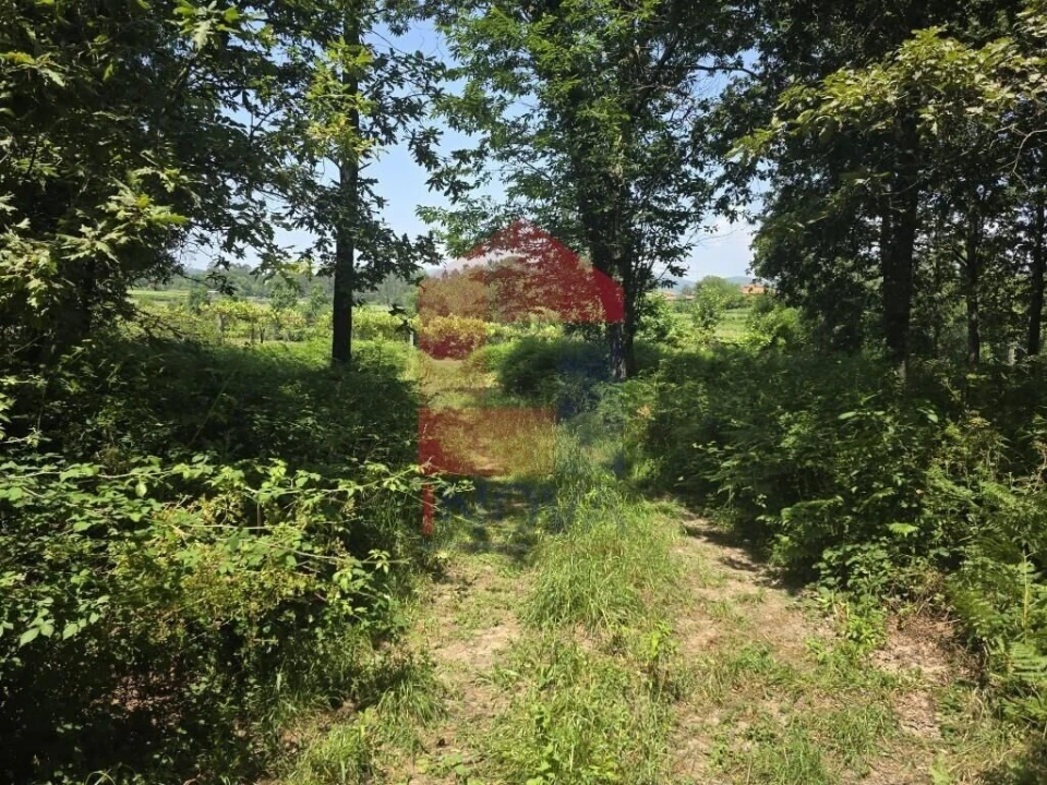 Terreno para Venda em Gême Foto 29