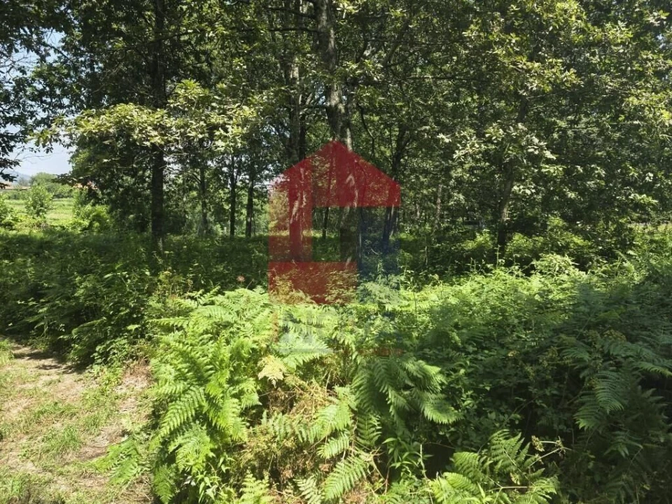 Terreno para Venda em Gême Foto 32