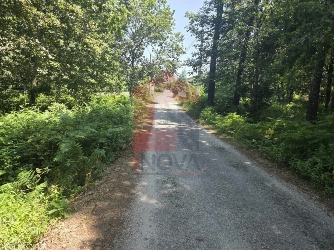 Terreno para Venda em Gême Foto 36