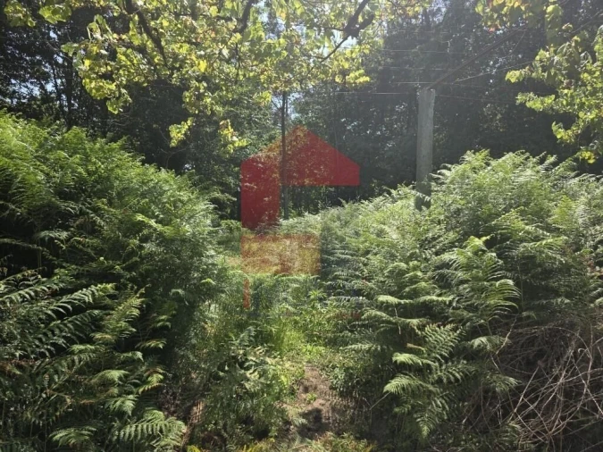 Terreno para Venda em Gême Foto 25