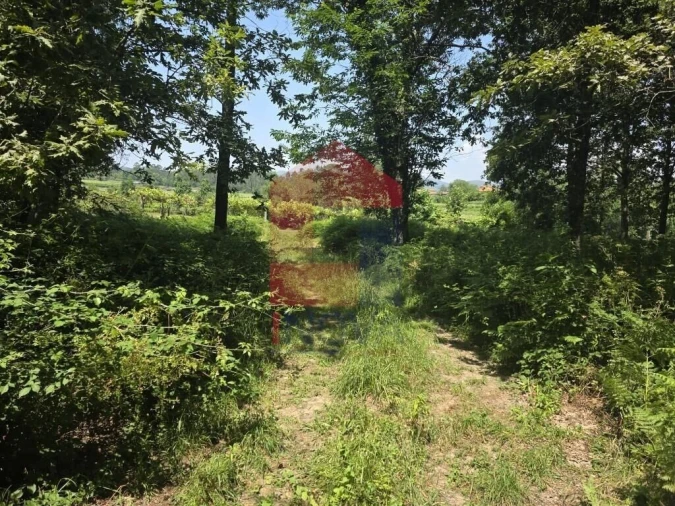 Terreno para Venda em Gême Foto 30