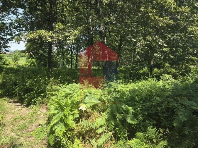 Terreno para Venda em Gême Foto 34