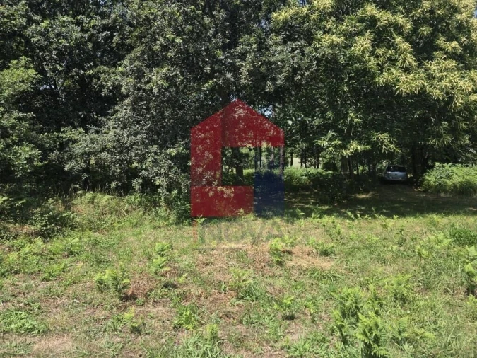 Terreno para Venda em Gême Foto 9