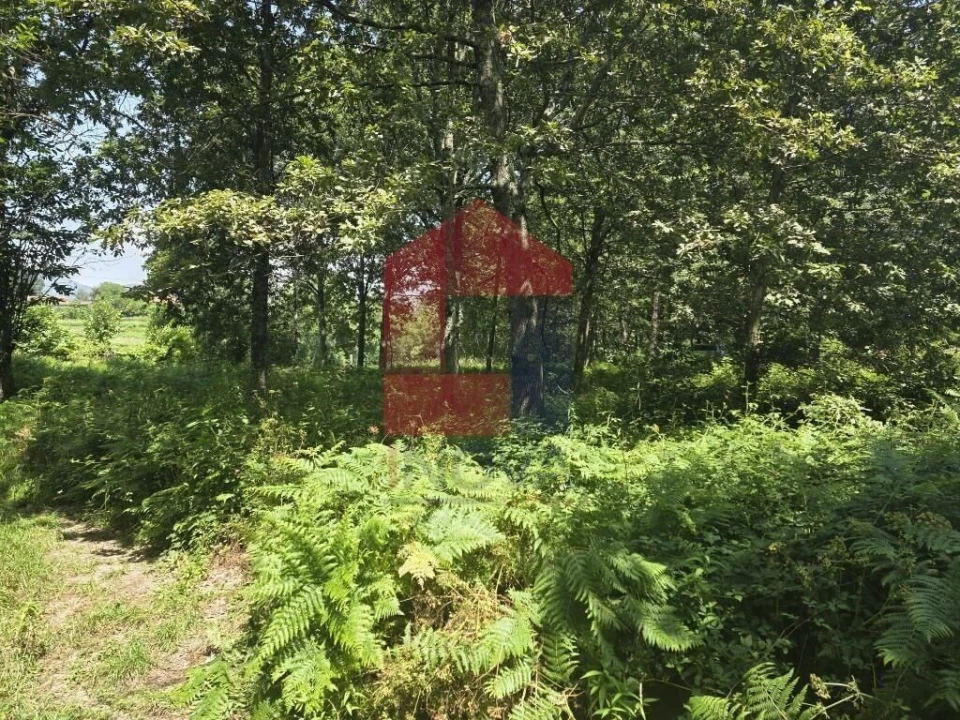 Terreno para Venda em Gême Foto 31