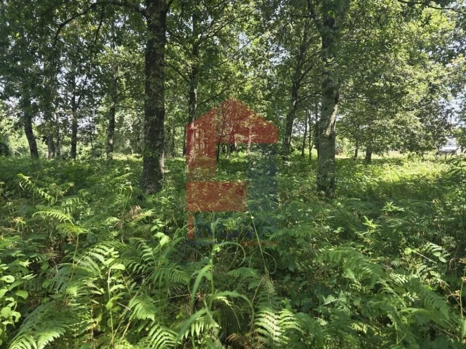 Terreno para Venda em Gême Foto 28