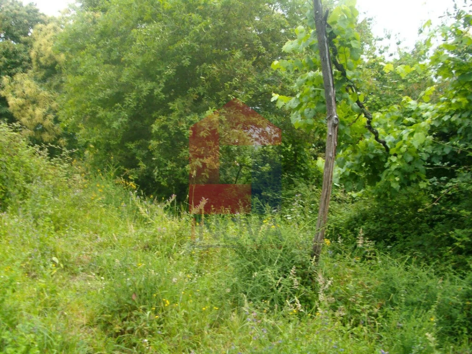 Terreno para Venda em Aboim da Nóbrega e Gondomar Foto 3