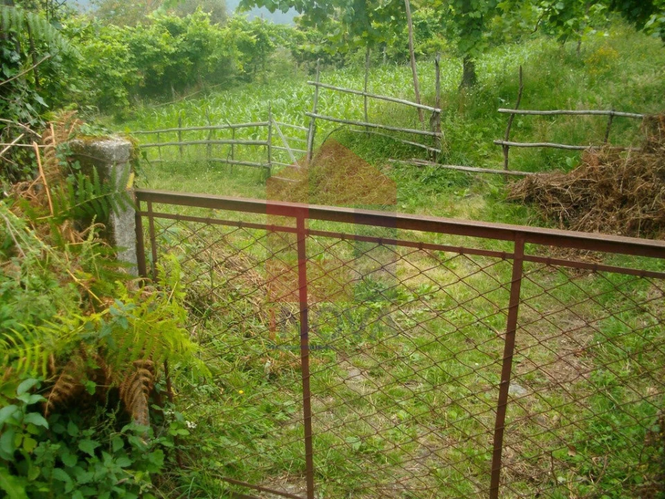 Terreno para Venda em Aboim da Nóbrega e Gondomar Foto 6