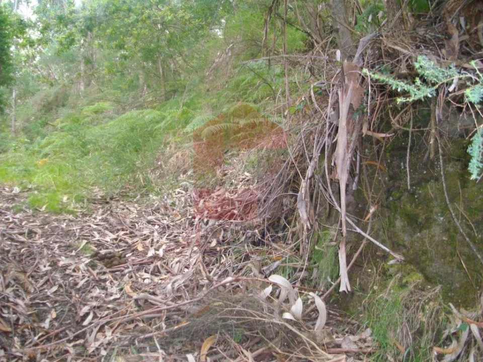 Terreno para Venda em Aboim da Nóbrega e Gondomar Foto 10
