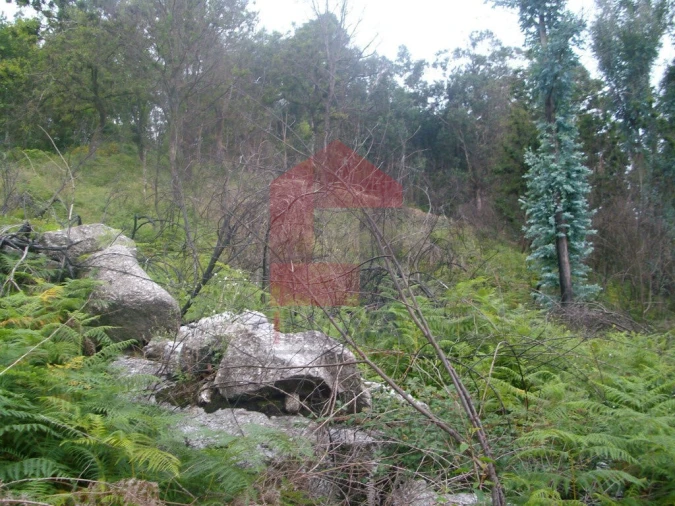 Terreno para Venda em Aboim da Nóbrega e Gondomar Foto 8
