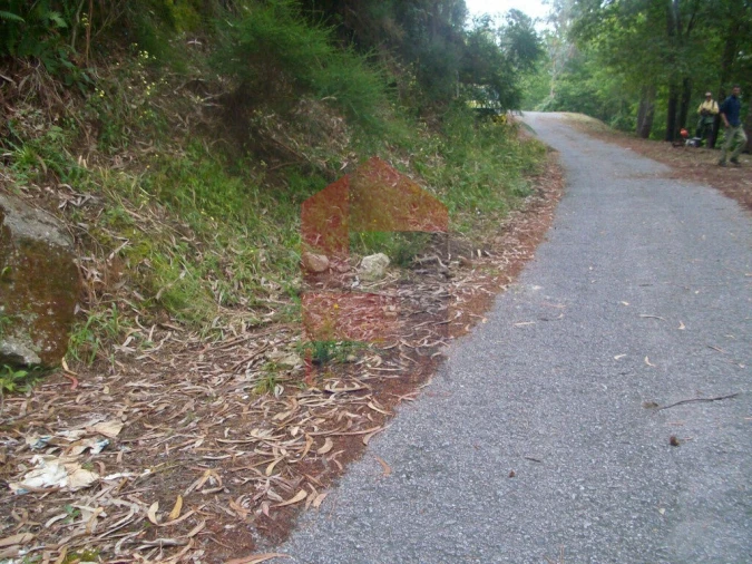 Terreno para Venda em Aboim da Nóbrega e Gondomar Foto 7