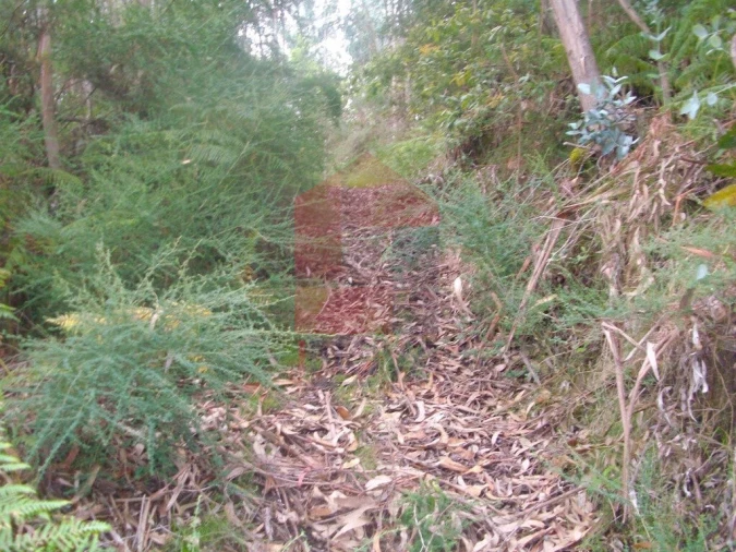 Terreno para Venda em Aboim da Nóbrega e Gondomar Foto 12