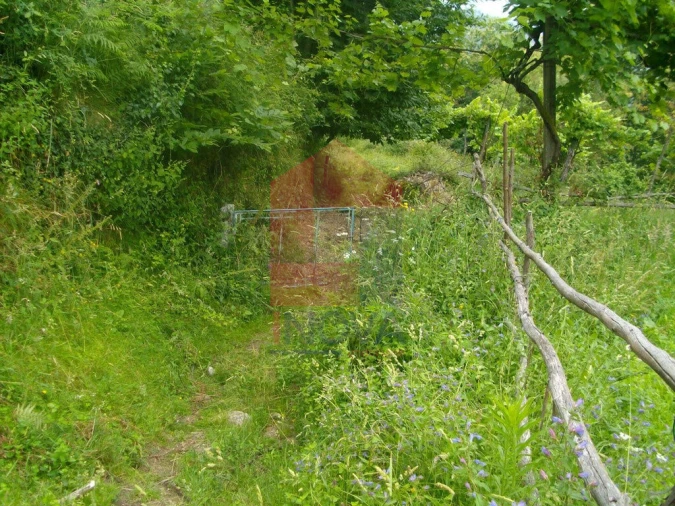 Terreno para Venda em Aboim da Nóbrega e Gondomar Foto 5