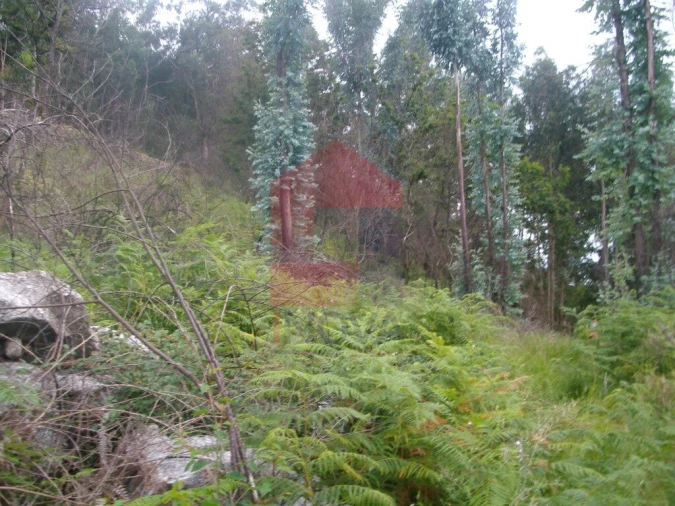 Terreno para Venda em Aboim da Nóbrega e Gondomar Foto 9