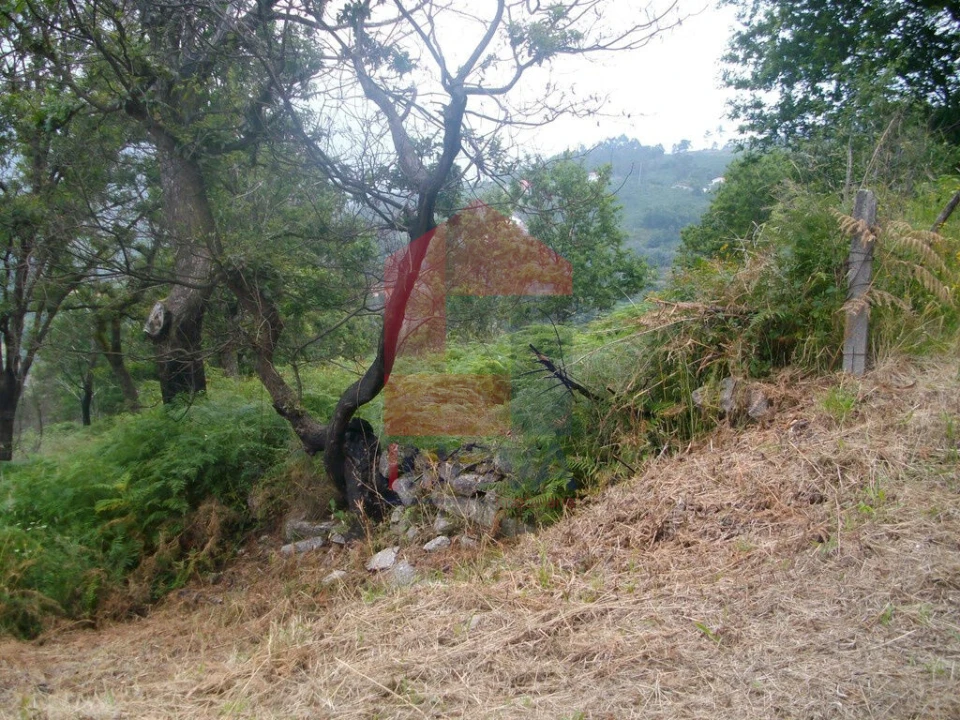 Terreno para Venda em Aboim da Nóbrega e Gondomar Foto 2