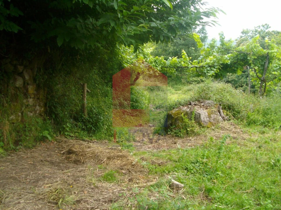 Terreno para Venda em Aboim da Nóbrega e Gondomar Foto 4