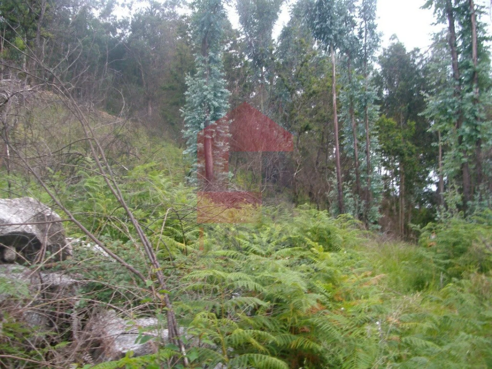 Terreno para Venda em Aboim da Nóbrega e Gondomar Foto 9